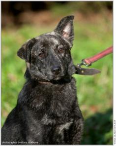 ����� �������� �������� ����� � ���