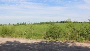 �������� ��������� ������� (�����)