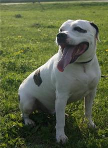 ������� ����� � ��������� �������