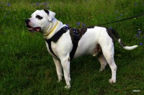 ������� ����� � ��������� �������