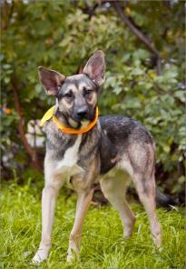 � ���. ����. ����� ������ ����