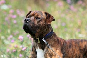 ������� �������� �����