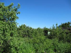 ������  ������� 8 ���. ����� �. �������