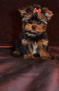 ��������� ����� ������������ �������