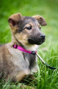 �������� �������, 3,5 ������! � ������ ����!