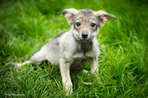 �������� �������, 3,5 ������! � ������ ����!