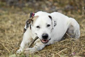 ������,�� ������ ������