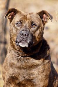 ���������� ������