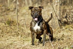 �������� ������� ������� - � ������ ����