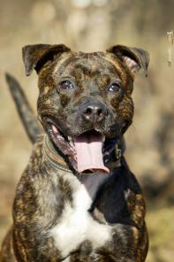 �����-��������� �����!