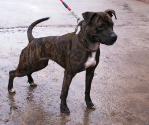 �����-��������� �����!