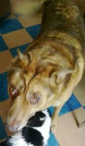 �������� ������� ������.