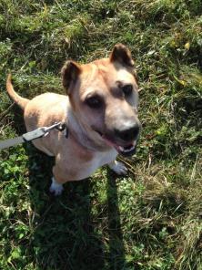 ����� ������� ��� �����