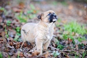 �������� �����