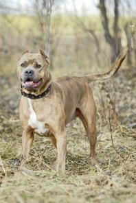 ��������� ����� ��� - � ������ ����