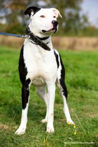 ����� ������� ���������