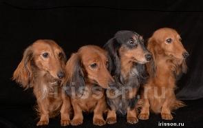 ����� �������� � ����������� ������ �� �����.