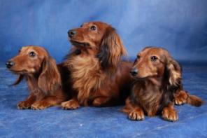 ����� �������� � ����������� ������ �� �����.