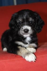 ������ ������ ������(�����-������, �����, �������)