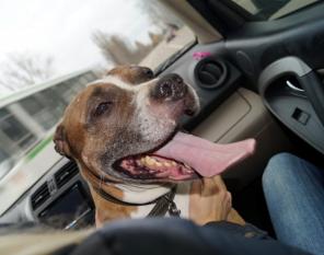 ����� �� � ���� �����,����� � ������