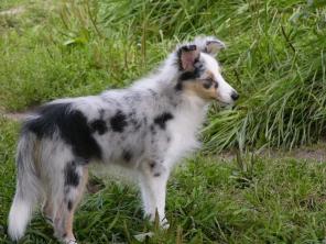 ����� �����