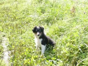 ����� �����