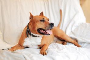 ��������������� ������ � ���