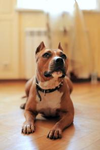 ��������������� ������ � ���