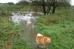 ������� ������