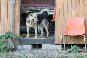 ��������  ������� ������� �������� ������� � ���.