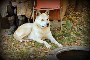 ϸ���  ������ � ���