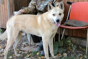 ϸ���  ������ � ���