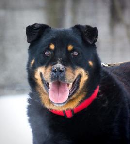 ����� - ������� � ����� ������ �� ���� �����