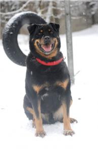 ����� - ������� � ����� ������ �� ���� �����