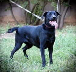 ����� ���������� ������� ���� �����.