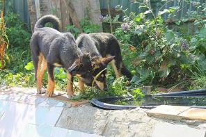 ��������� � ���