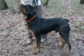 ��������� ������ � ���