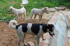 ����� ������ � ������ ����.