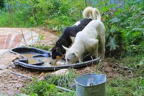 ����� ������ � ������ ����.