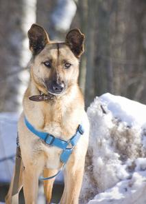 �������� � ������������� ������ � ���