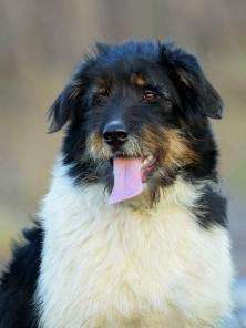 ������ �������� ���� ! ����� ��������� ������ � ���.