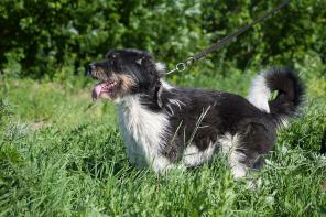 ������ �������� ���� ! ����� ��������� ������ � ���.