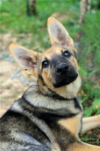 ����, �������� �������� ����� � ���