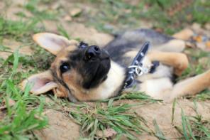 ����, �������� �������� ����� � ���