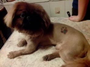 ���������� �������