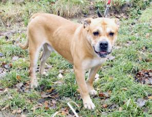 �� �� �� ���� - � ���