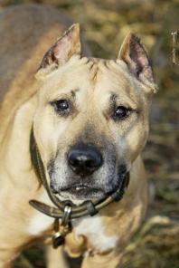 ������ ������� ������� ������� ���