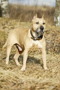 ������ ������� ������� ������� ���