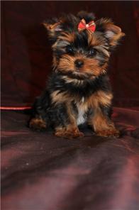 ��������� ����� ������������ �������