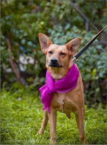 ������������� ������� ��������� ��� � ���.